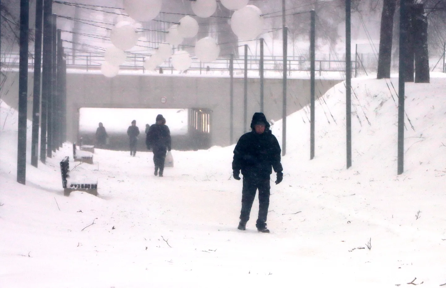 Во время снегопада в центре Йыхви.