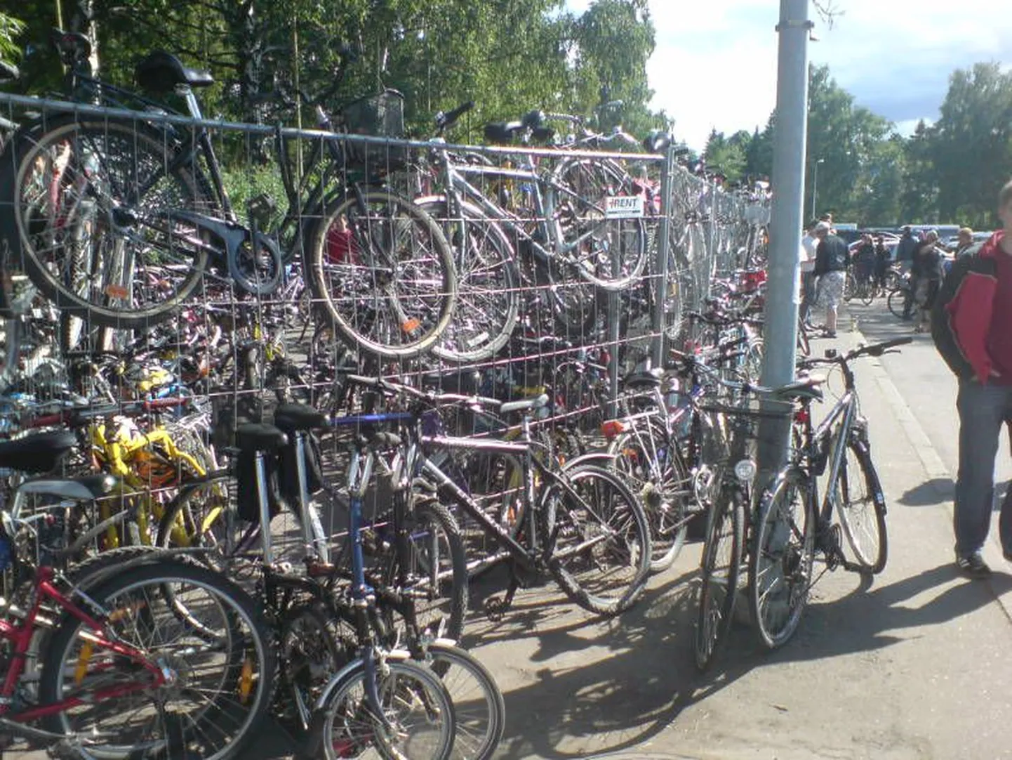 Jalgrattaparkla laulupeol. Õllesummeril selline puudub.