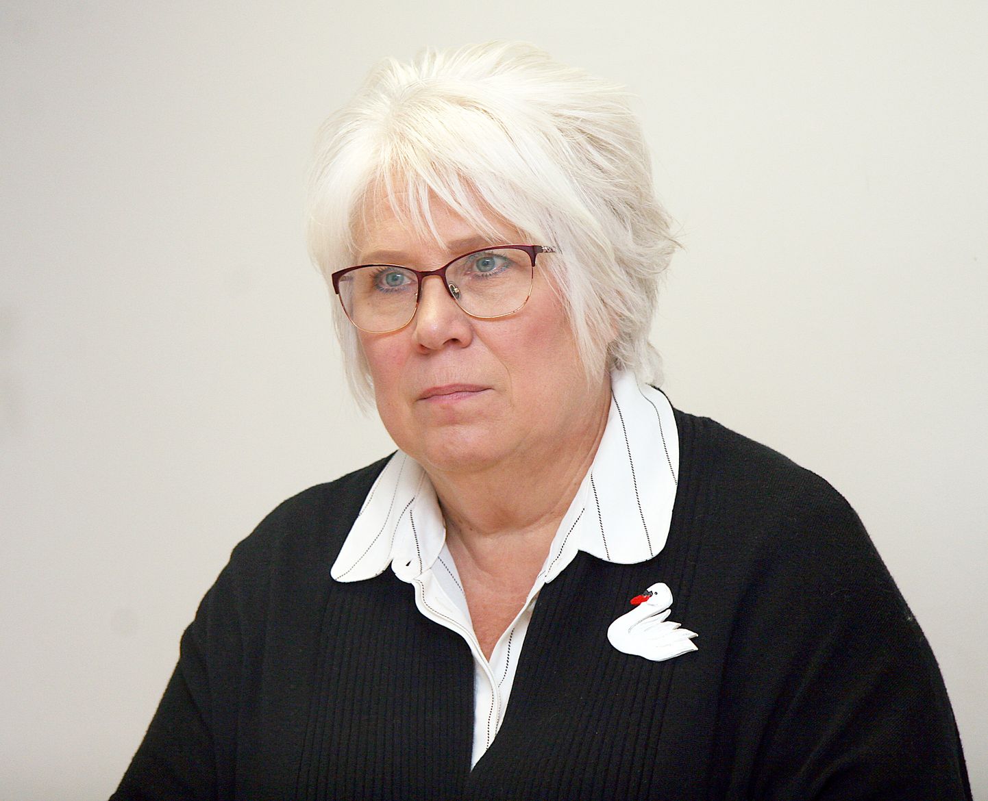 Marina Kaljurand, Euroopa Parlamendi liige, sotsiaaldemokraat