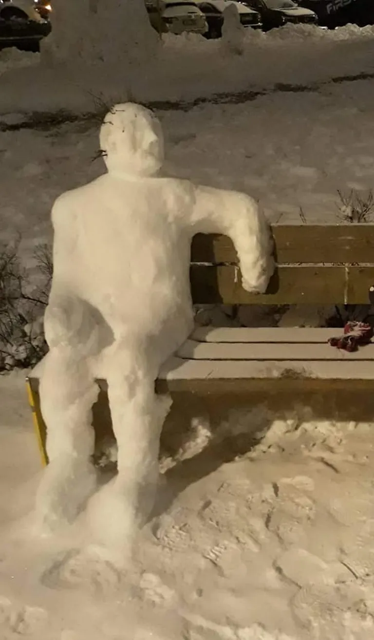 Снежный человек в Тарту.