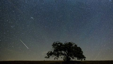 НЕ ПРОПУСТИТЕ! ⟩ Скоро на небе можно будет наблюдать чарующее зрелище