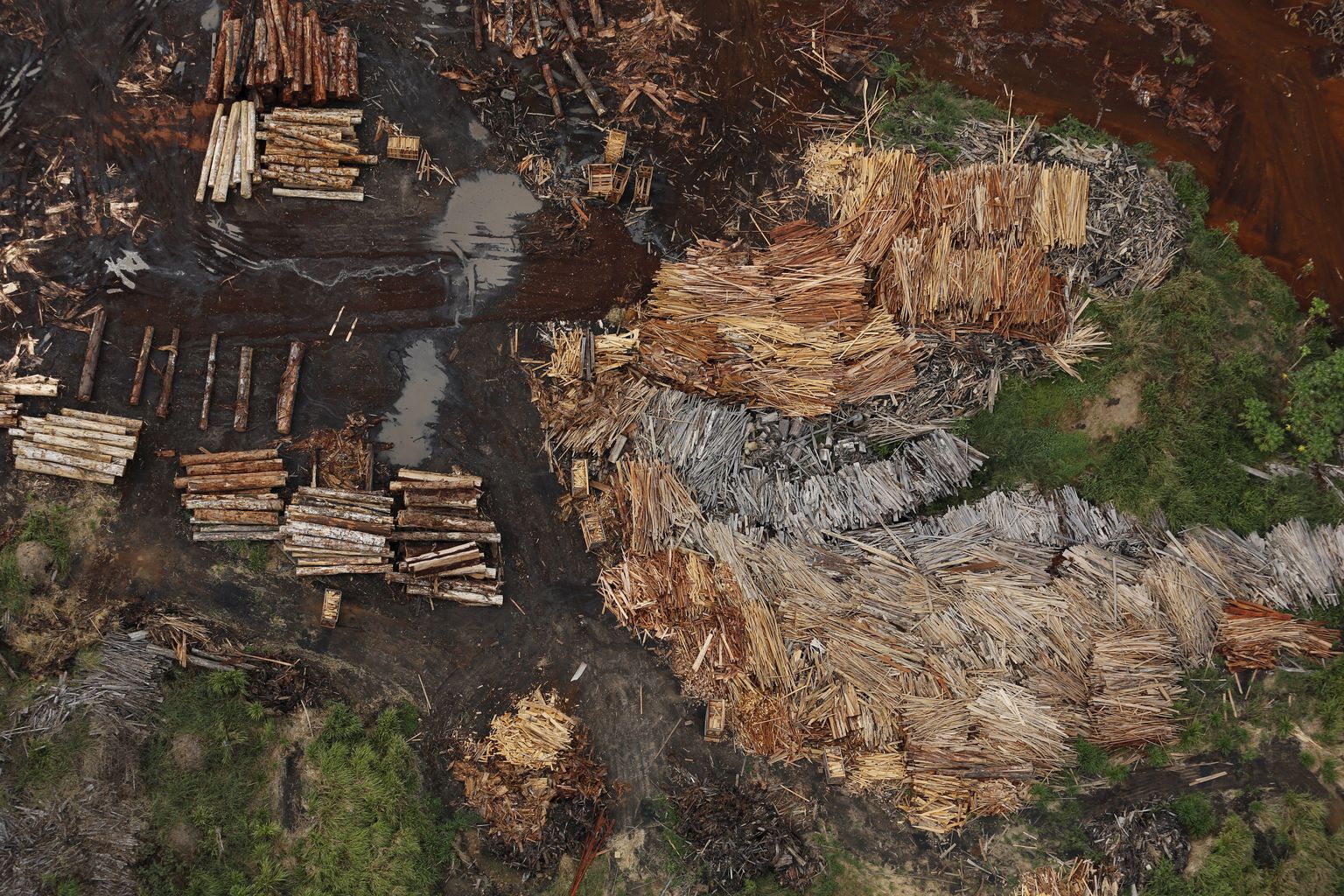 Ebaseaduslikult raiutud metsamaterjali töötlemine saekaatris Brasiilia Rondonia osariigs Porto Velho piirkonnas.