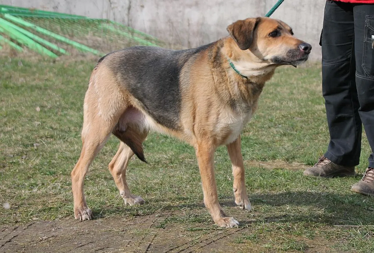 Veera.