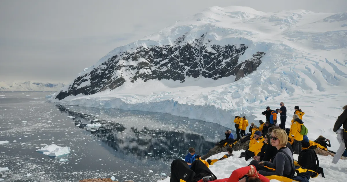 Antarctica este acoperită de vegetație ⟩ Prima hartă botanică a Antarcticii a fost finalizată – există motive de precauție