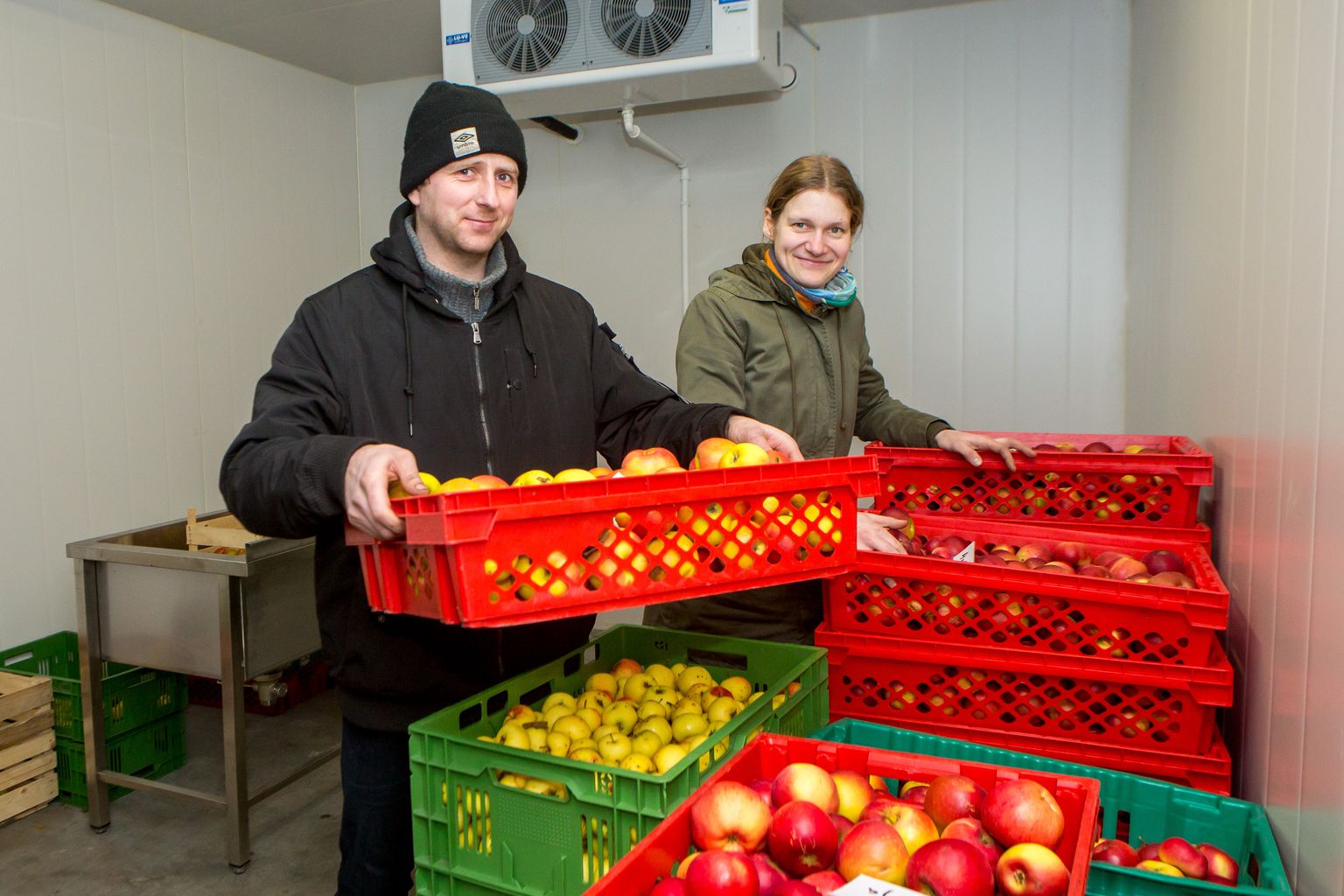 TEGUS TANDEM: Mart ja Agnes Heinla kasvatavad õunu ja köögivilju ka koolilaste toidulauale.