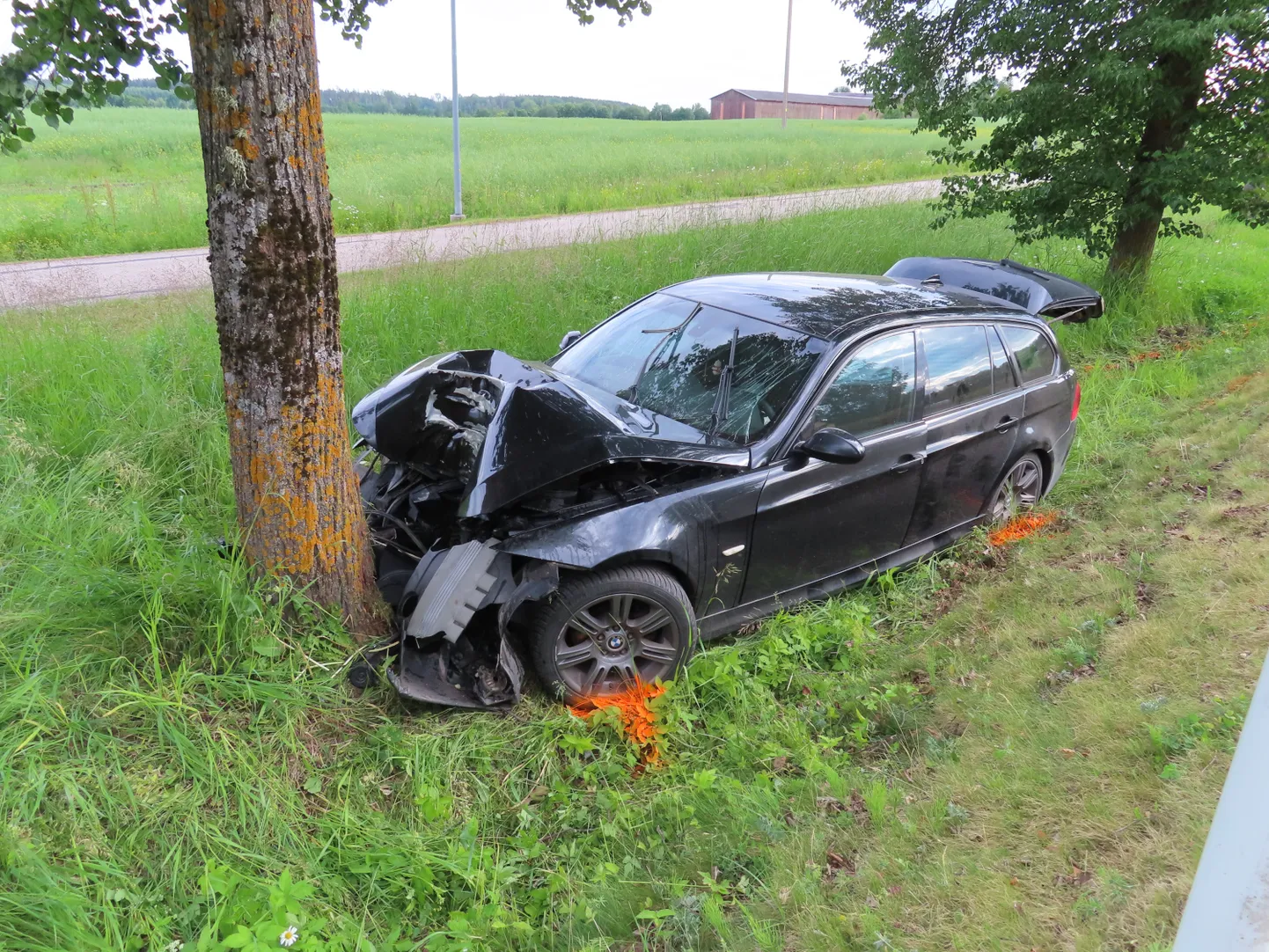 В волости Ряпина автомбиль врезался в дерево.