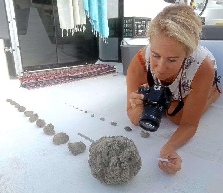 Larissa Hoult tegemas fotosid tükkidest, mis on pärit Vaikses ookeanis liikuvalt pimsskivist «parvelt»