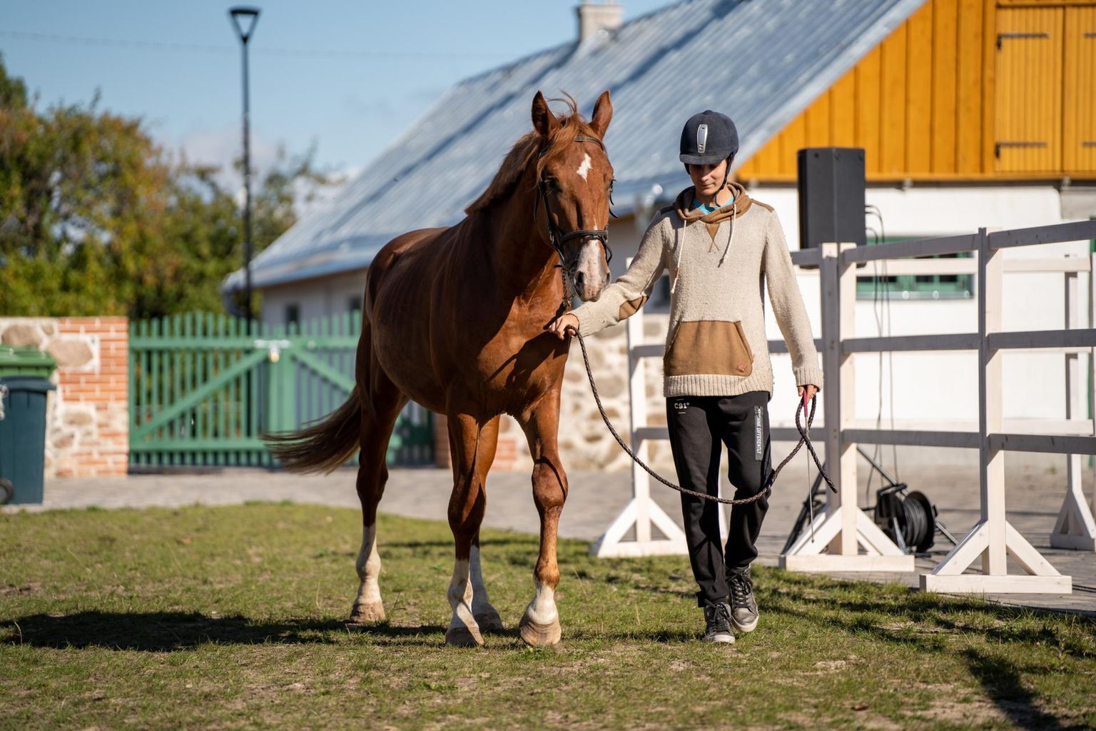 Tori hobusekasvandus saavad hobuarmastajad näha tänavu sündinud varssasid.