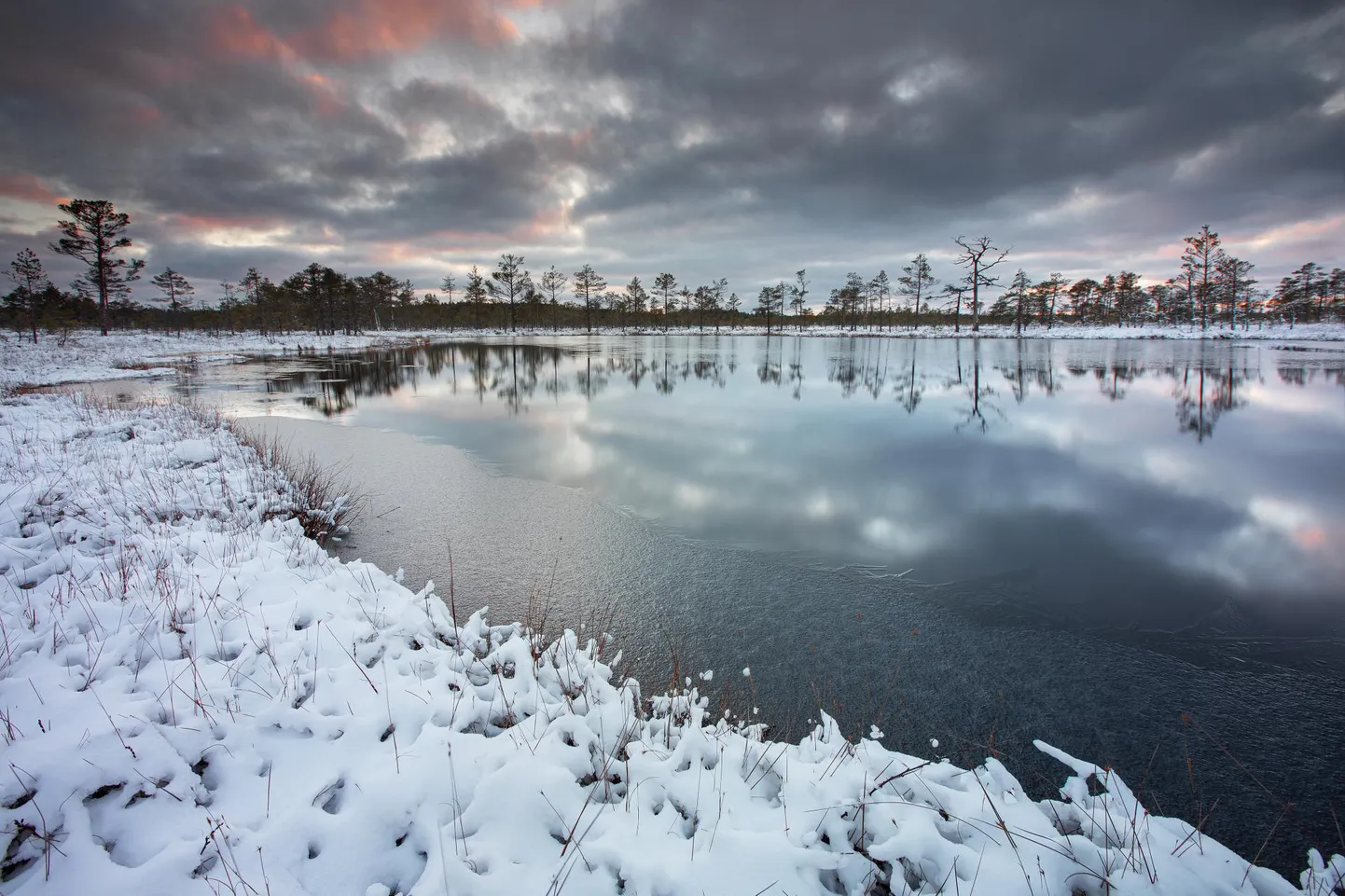 Andrei Reinol on rahvusvaheliselt tunnustatud maastikufotograaf. Foto tänavuse talve esimesest lumest tegi ta Kõnnu Suursoos.