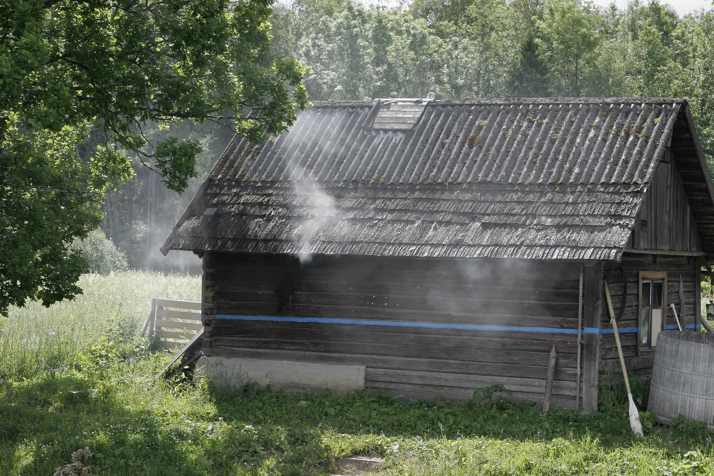 Suitsusaun