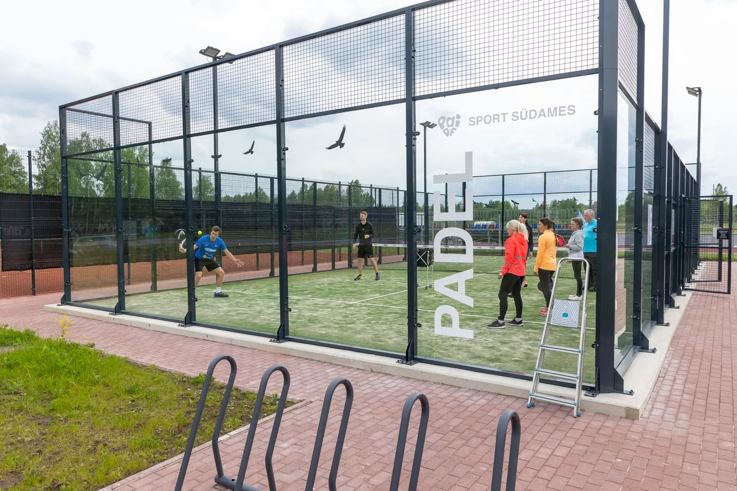 Padel