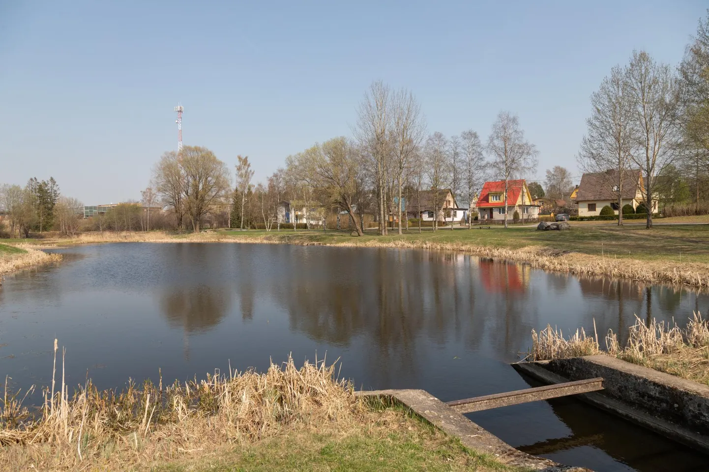 Paala järve ülemine osa peab mudast puhtaks saama enne jaanipäeva. Millal töö algab, sõltub tegija otsusest.
