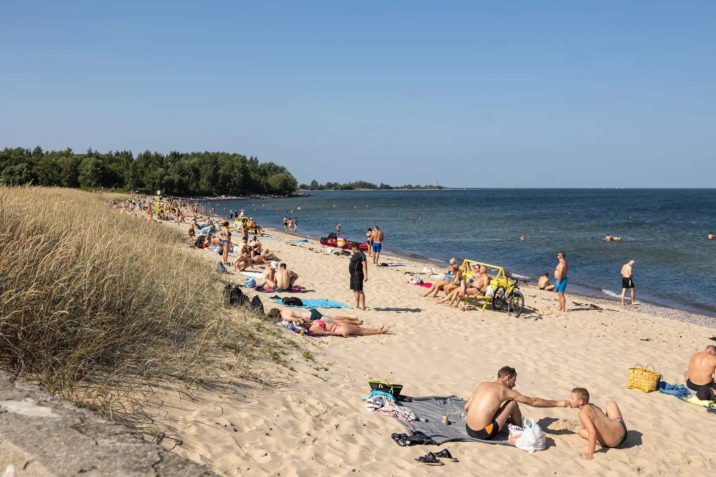Пляж Пикакари.