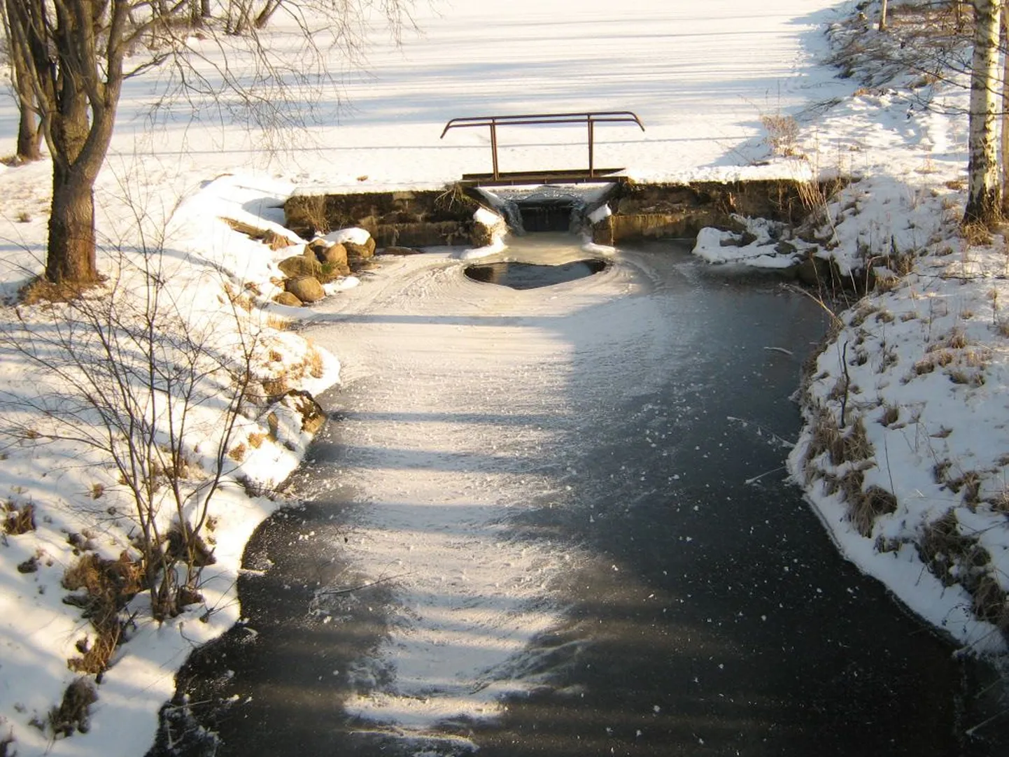 Sõbrapäeva ootel.