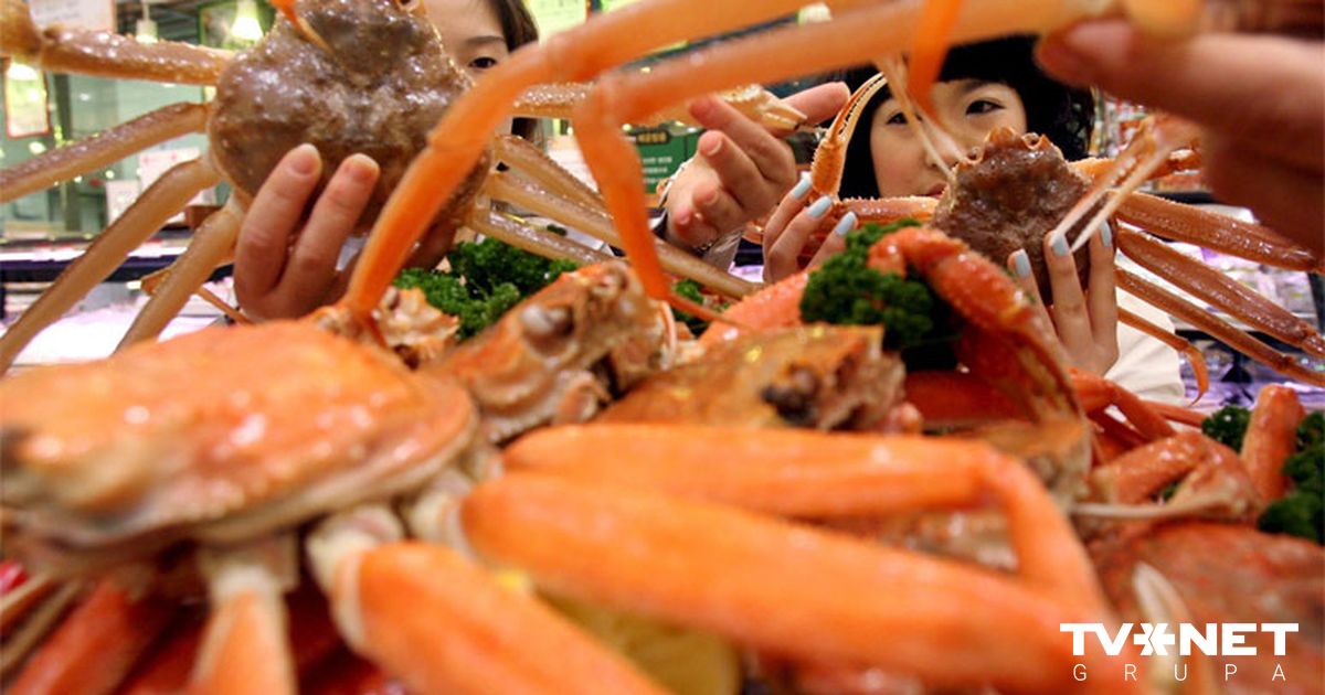 Saeima bestemmer seg for å si opp investeringsbeskyttelsesavtalen mellom Latvia og Norge;  Det vil ikke påvirke rettssaken i &laquo;snøkrabbe&raquo;-saken