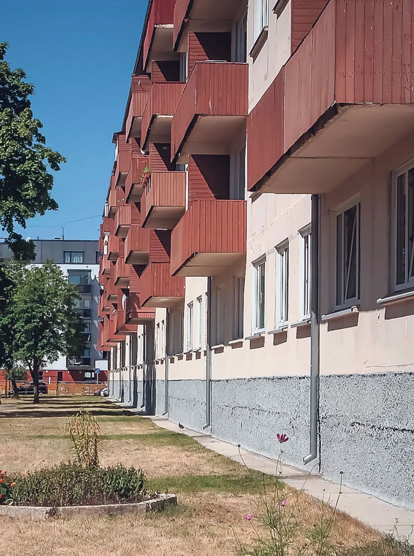 Korteri keskmine ruutmeeter maksis ligi 1250 eurot.