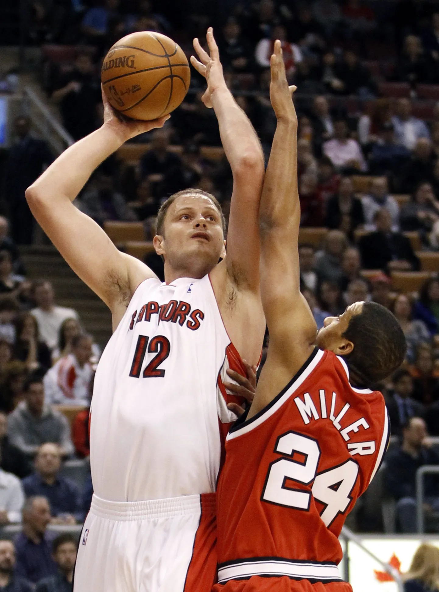 Radoslav Nesterovic (palliga) Toronto Raptorsi särgis.