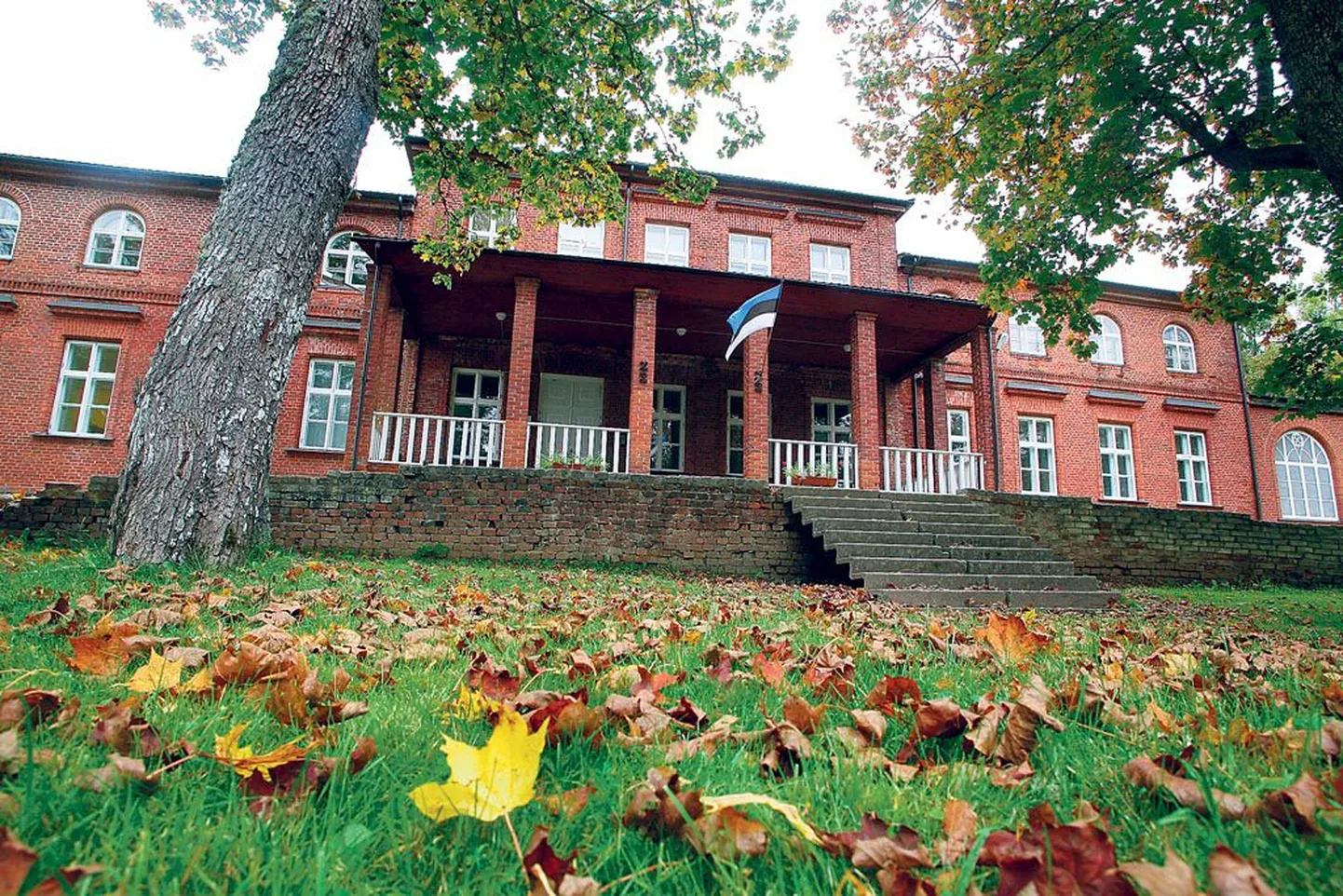 Tihemetsa poolesaja õpilasega põhikool töötab kunagise Quellensteini kalevi- ja kammvillavabriku omaniku Albert Zoepfeli suvelossis, mis asub kaitsealuses Allikukivi pargis. Kohalikest tellistest laotud hoone esisele muruväljakule on paigaldatud mälestuskivi kunstnik August Jansenile. Kooli direktor Aita Matson on koduloohuvilisena uurinud paikkonna minevikku.