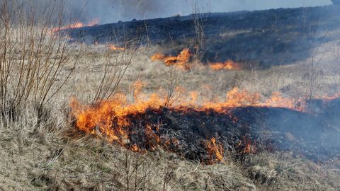 Kõima külas põles kolmel hektraril kulu