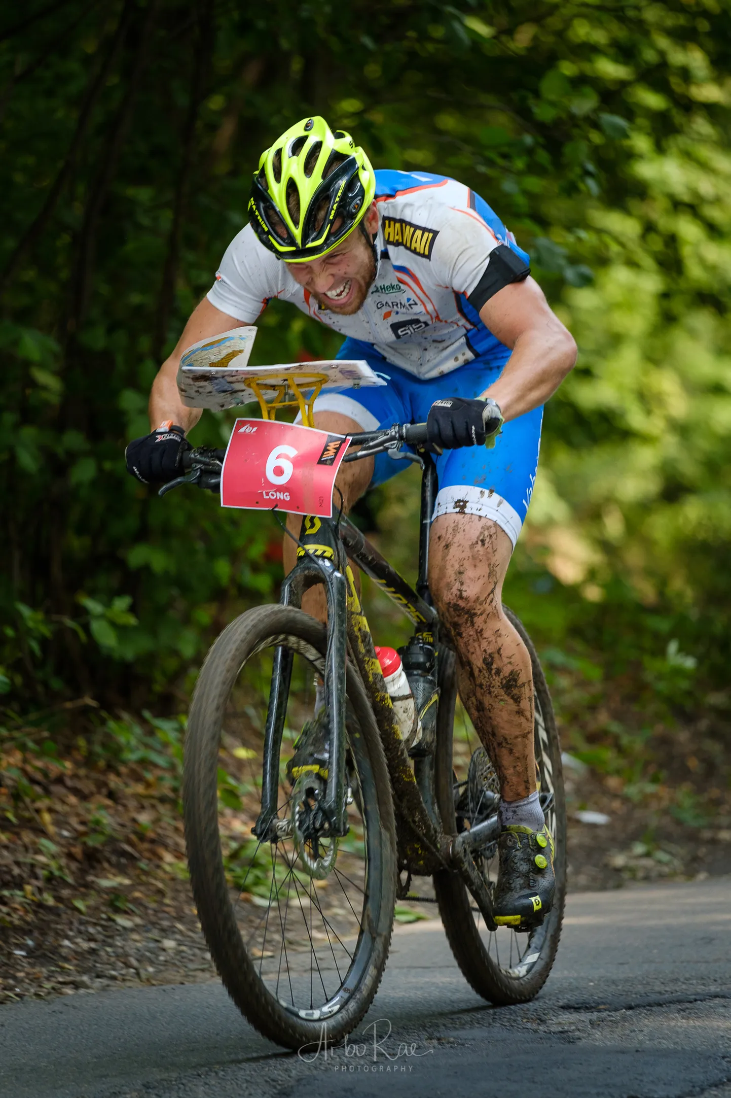 Lauri Malsroos