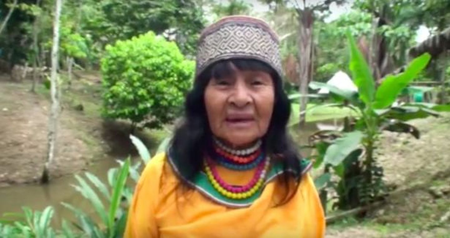 Peruu Shipibo-Konibo hõimu šamaan  Olivia Arévalo