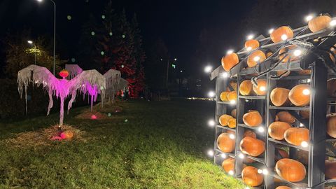 PILDID ⟩ Surnuaed, labürint ja kaks tonni kõrvitsaid – Tartusse kerkis Halloweeni maailm