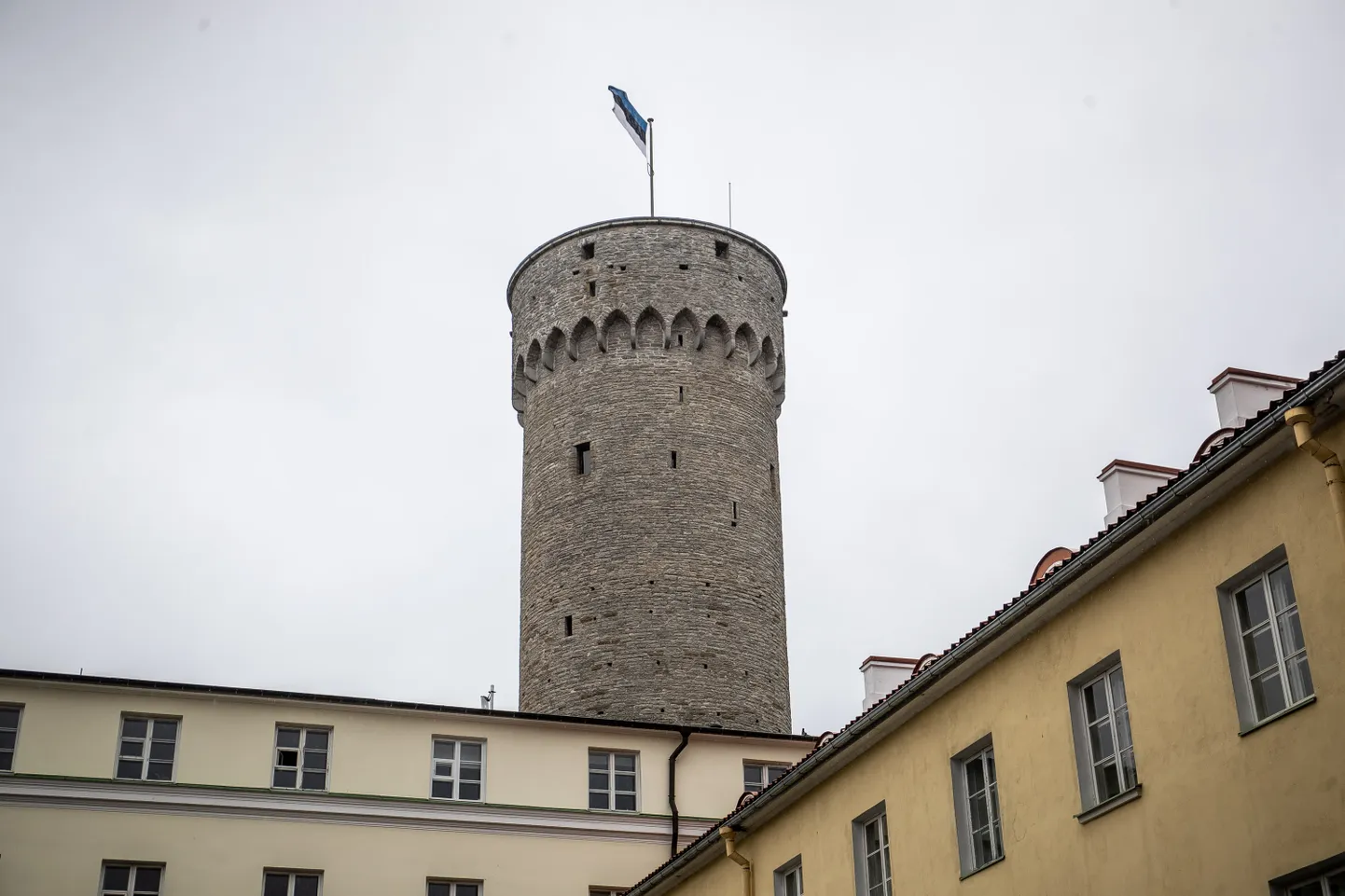 Pikk Hermann.