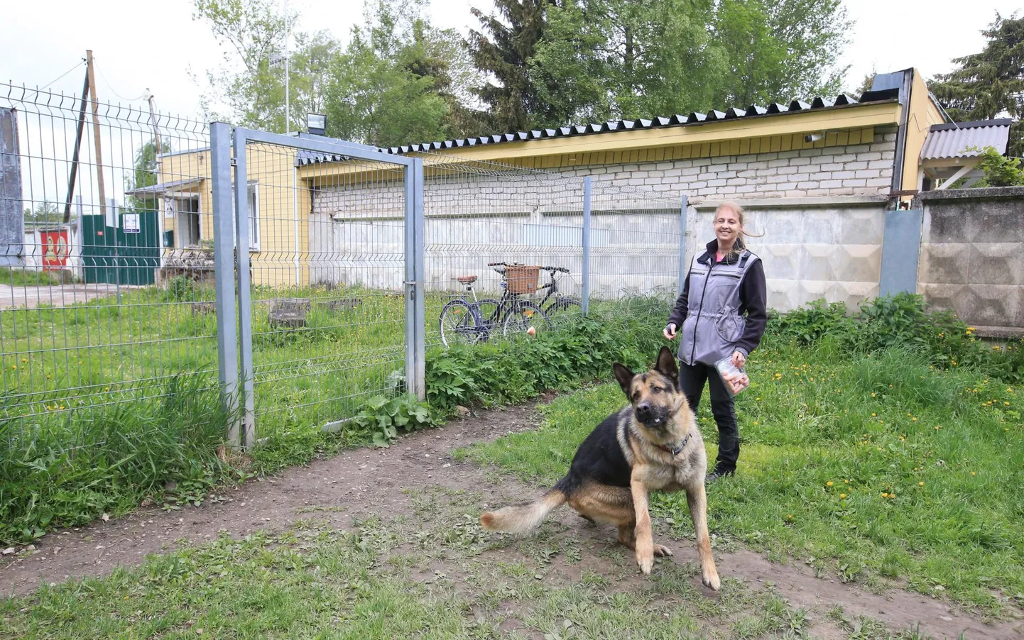Koduta loomade varjupaiga administraator Pilla Osborn ja koer Bars mängisid reedel jalutusaedikus, millest peaks uue projekti järgi saama parkla. Tagaplaanil paistab ümberehitatav kollane haldushoone.