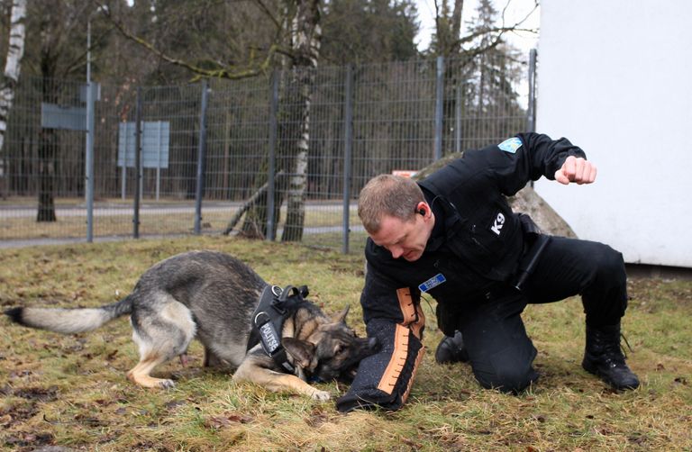 Tööliini saksa lambakoer Dexter ja Tartu politseijaoskonna komissar Rauno Rammo.         