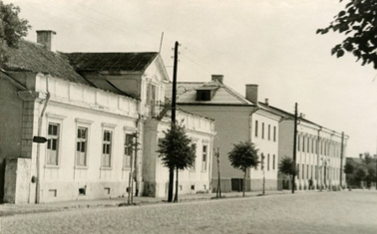NOORED PUUD:  Sel, 1960. aastal tehtud fotol paistavad Tallinna 
tänava ääres nii puud kui ka elektripostid.
