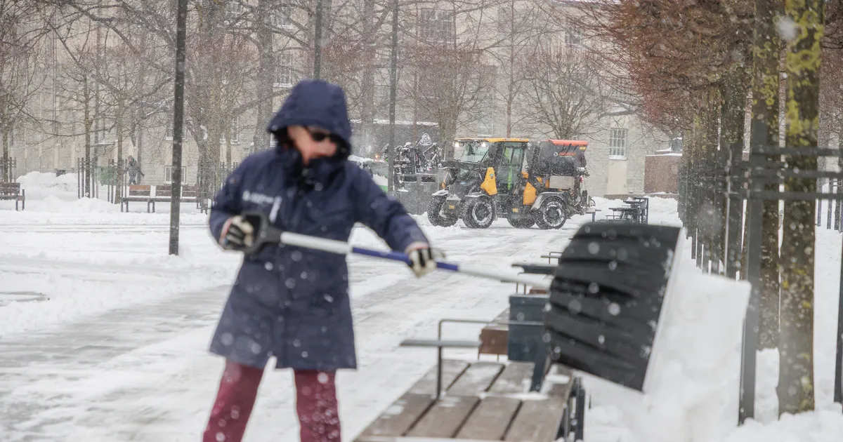 HOIATUS Kolmes maakonnas jätkub tihe lumesadu