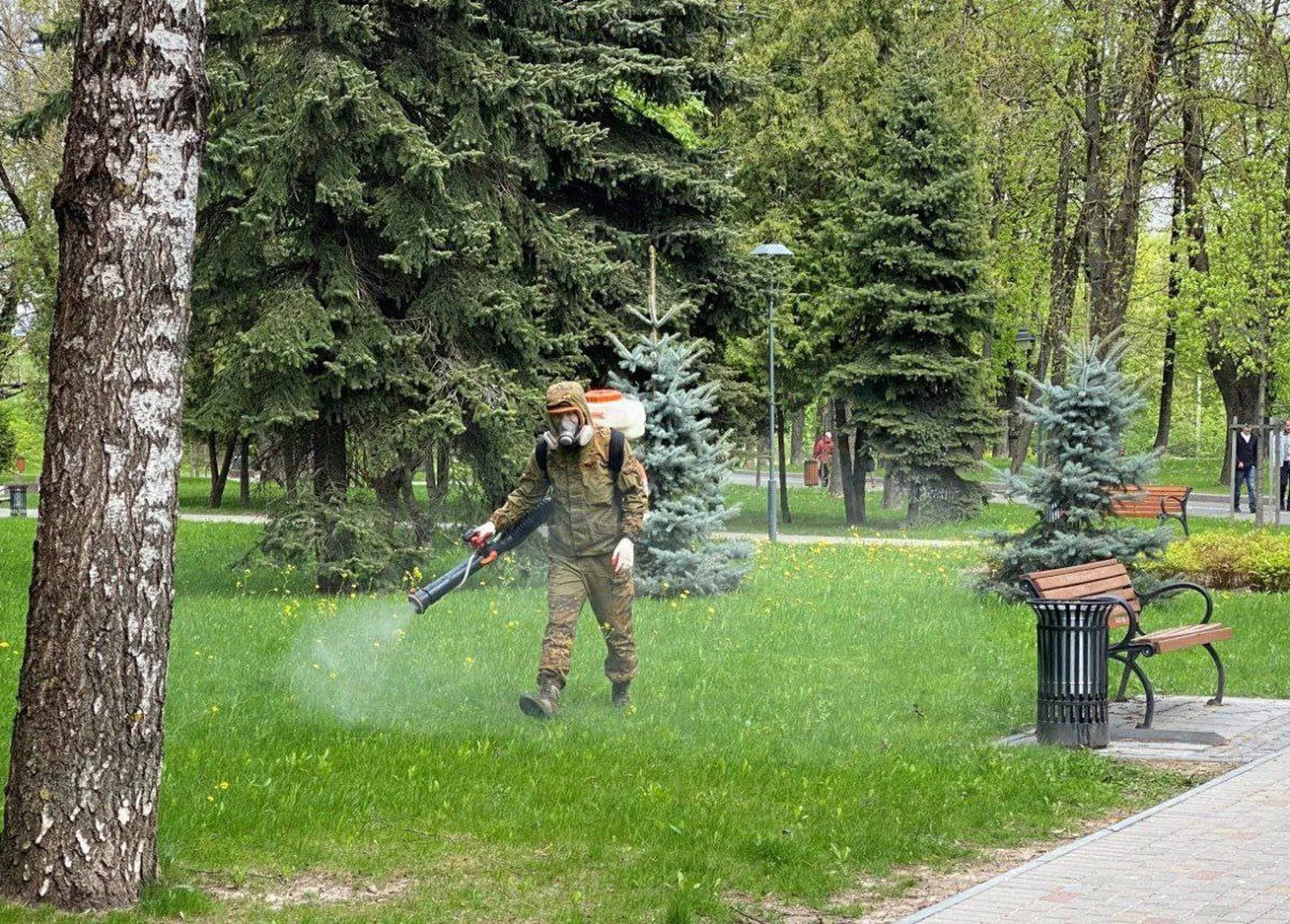 Pihkvas hakatakse puukide vastu rohealasid üle pritsima.
