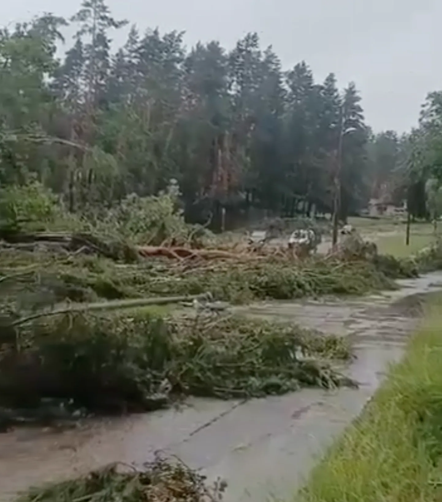 Ураган повалил десятки деревьев на Лесном кладбище в Цесисе