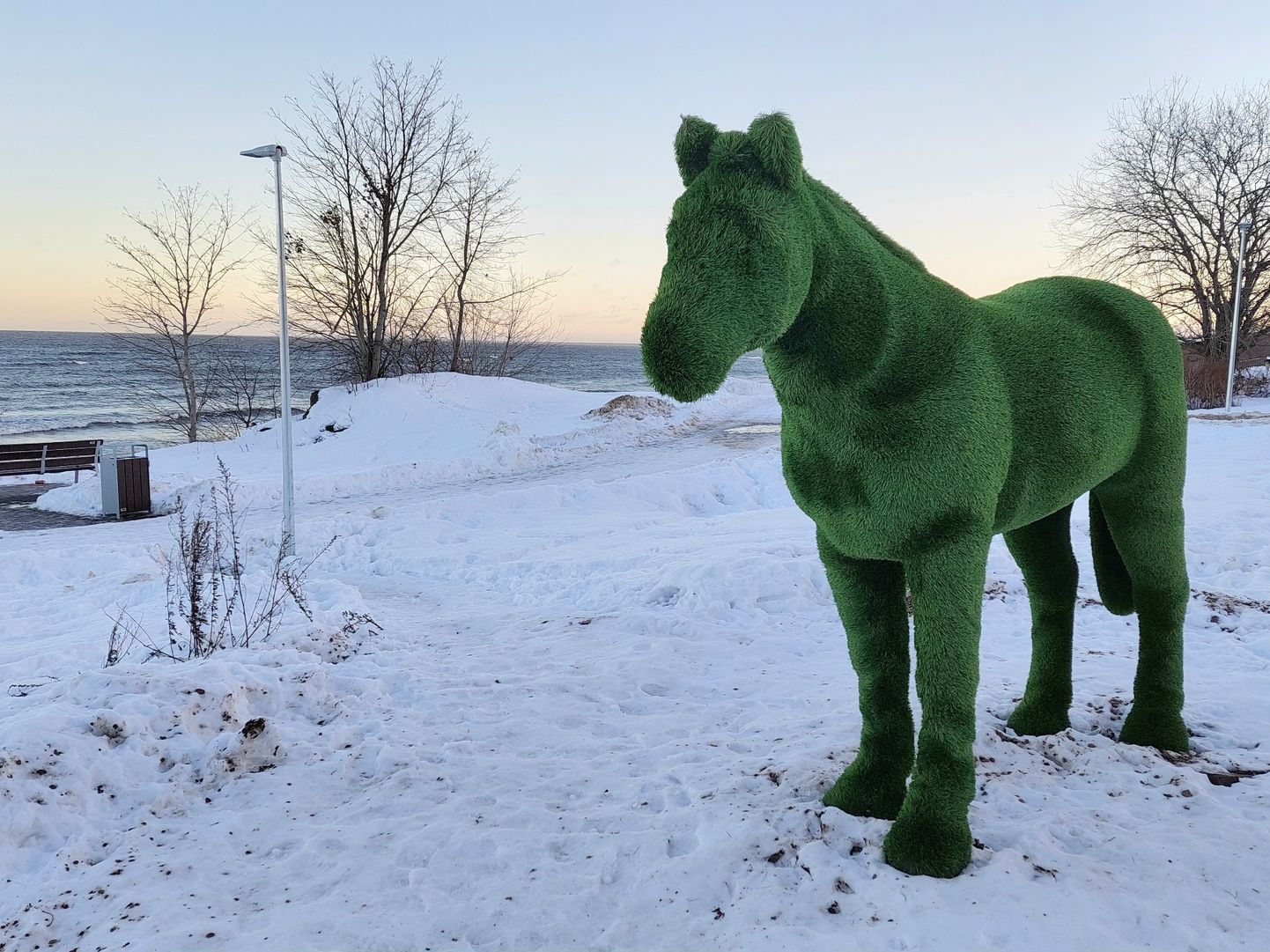 Зеленая лошадь стала популярным объектом для фотографий на новом участке морского променада.