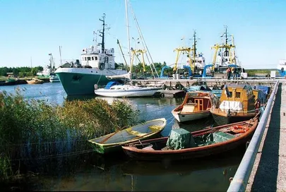 Artikli foto