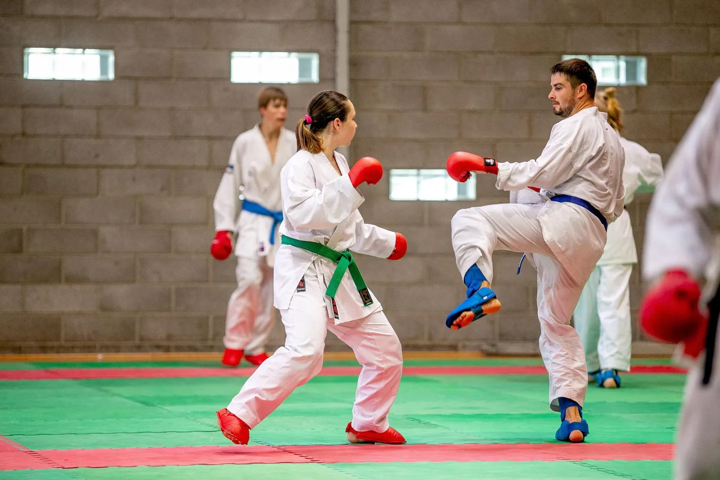 Spordimessil saavad julgemad proovida traditsioonilist Jaapani enesekaitsekunsti.