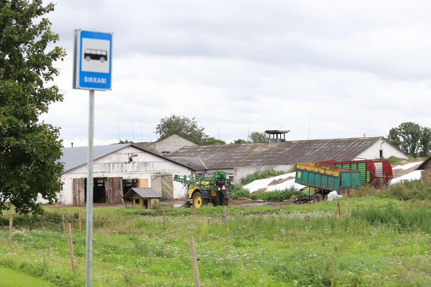 Sikkani-Pendri piimafarm, kus pühapäeval tapatöö aset leidis.