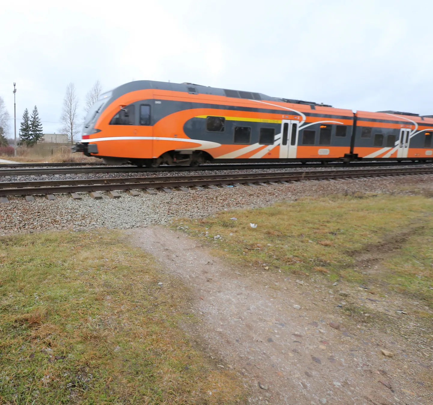 Just selles kohas kipuvad tabiverelased ebaseaduslikult raudteed ületama. Paari aasta pärast on seal aga tunnel.