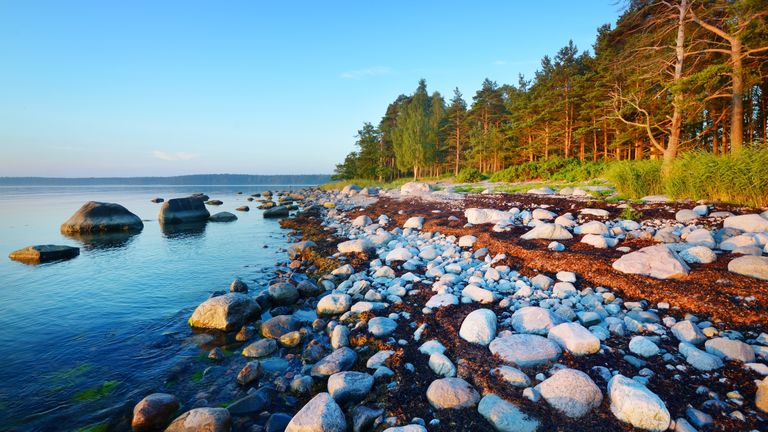 Природа северной Эстонии