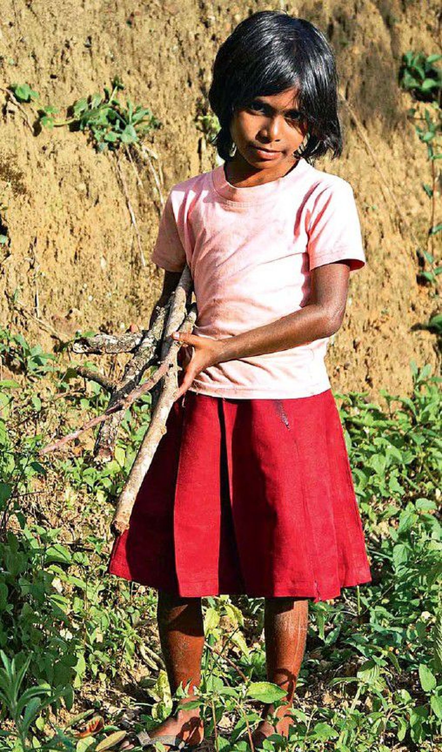 Kõige raskema töö teeistandustes teevad ära tamili naised, kes kuuluvad saare kõige vaesema elanikkonna hulka. Laste ülesandeks on toiduvalmistamiseks hagu korjata.