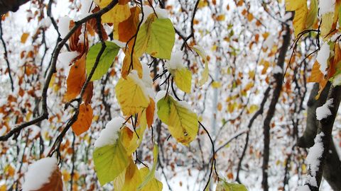 ILMATAAT ANNAB ARMU ⟩ Valged helbed jäävad nädala alguses taevasse, sünoptik Kairo Kiitsak selgitab edasist prognoosi