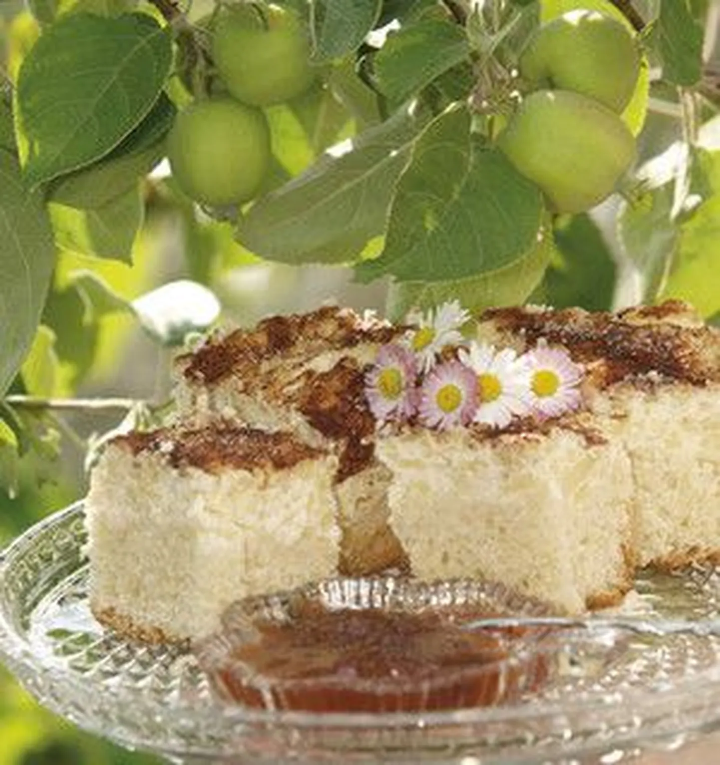 Ungari kohupiima-kartulikook.