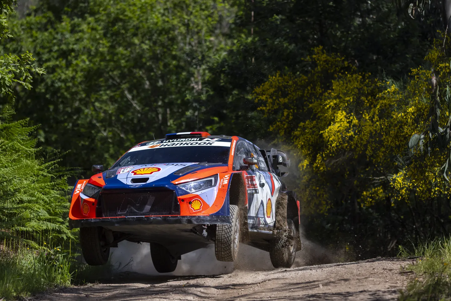 Adrien Fourmaux Portugali MM-rallil.