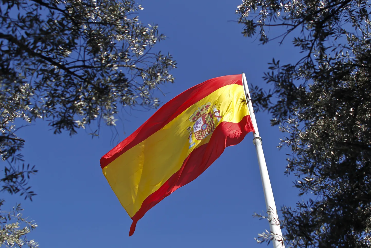 Hispaania lipp