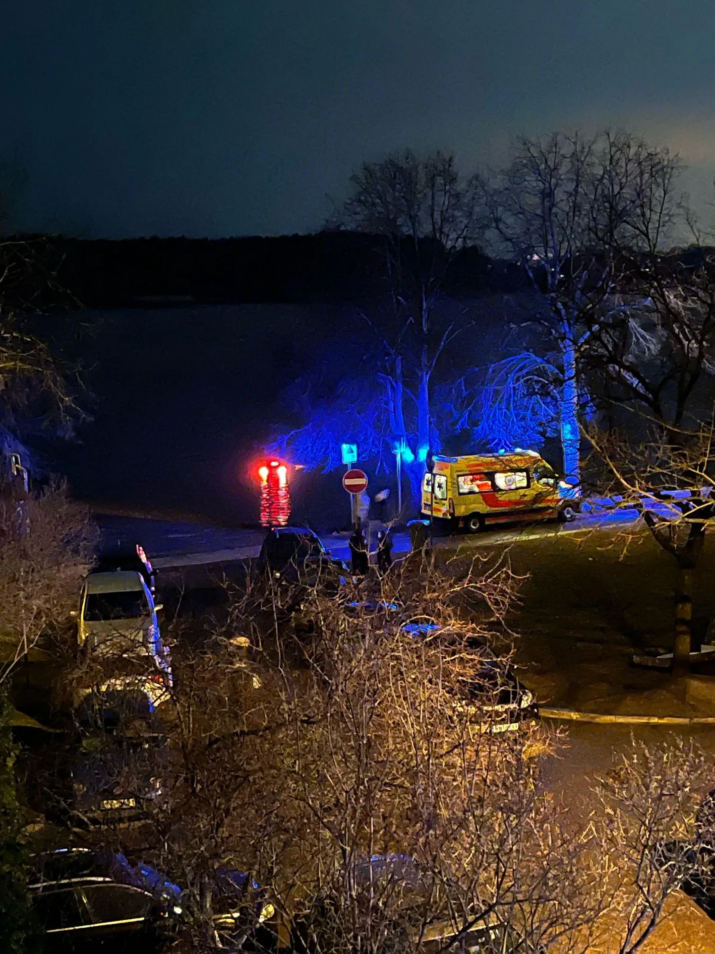 Фото статьи
