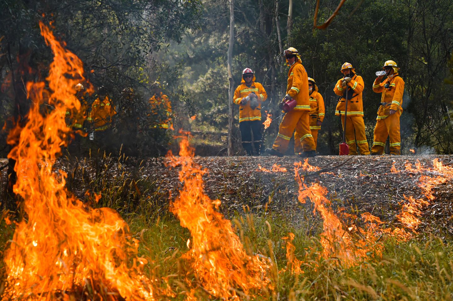 Лесной пожар в Австралии.
