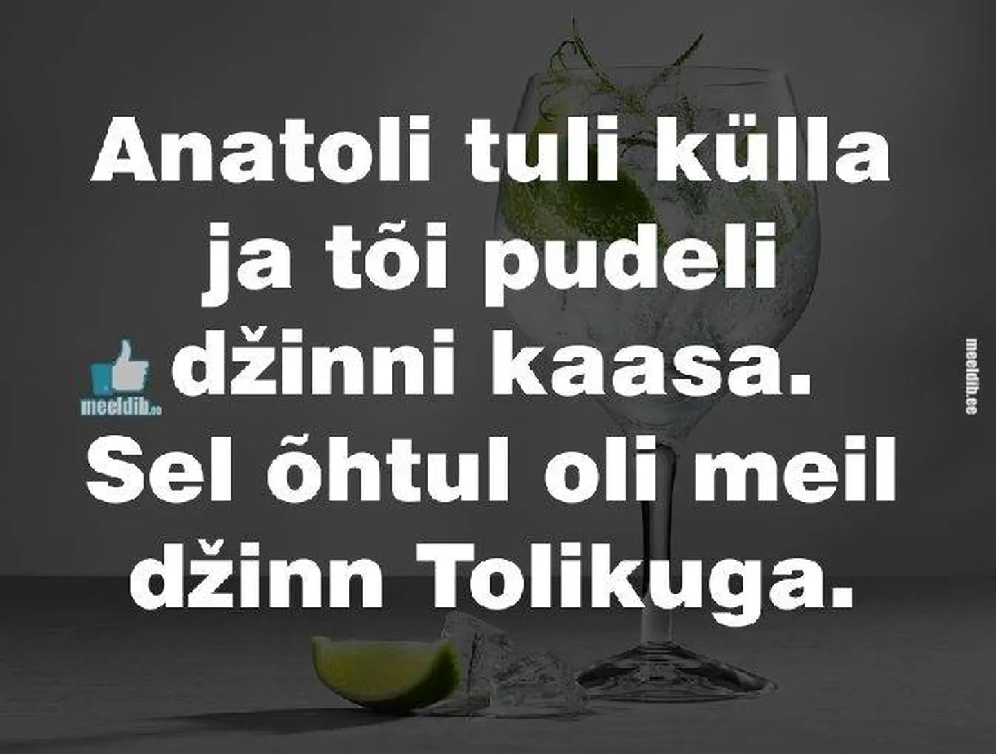 Artikli foto