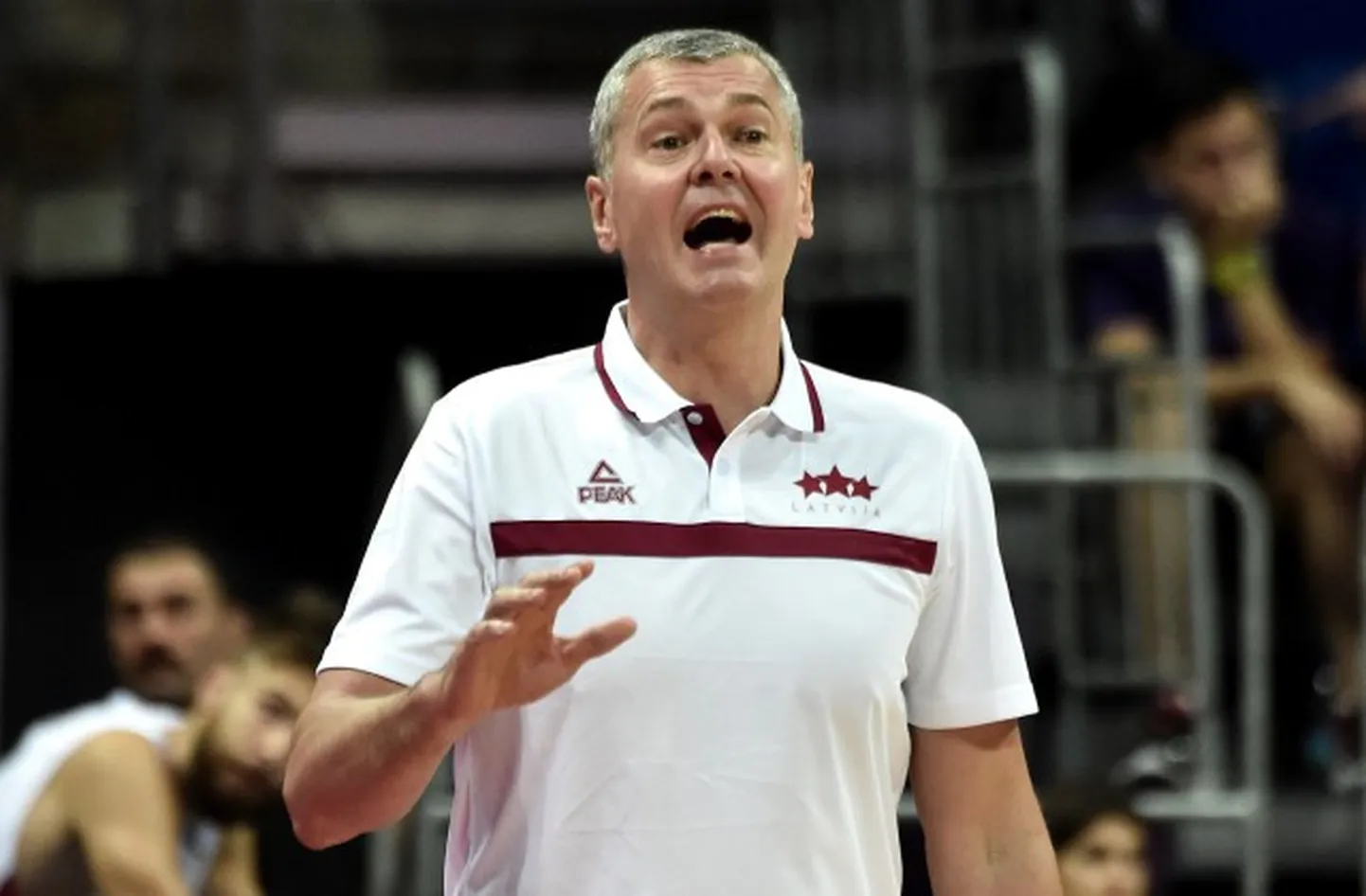 Ainars Bagatskis