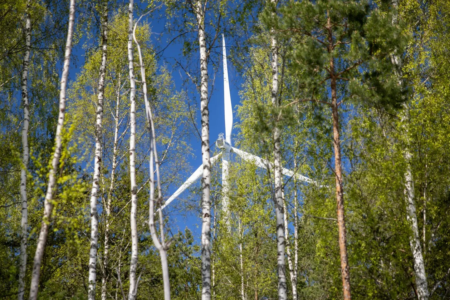 Katse suruda maismaa tuuleparkide vähempakkumiste tingimused muude teemade varju ärritas ka energiatootjaid.