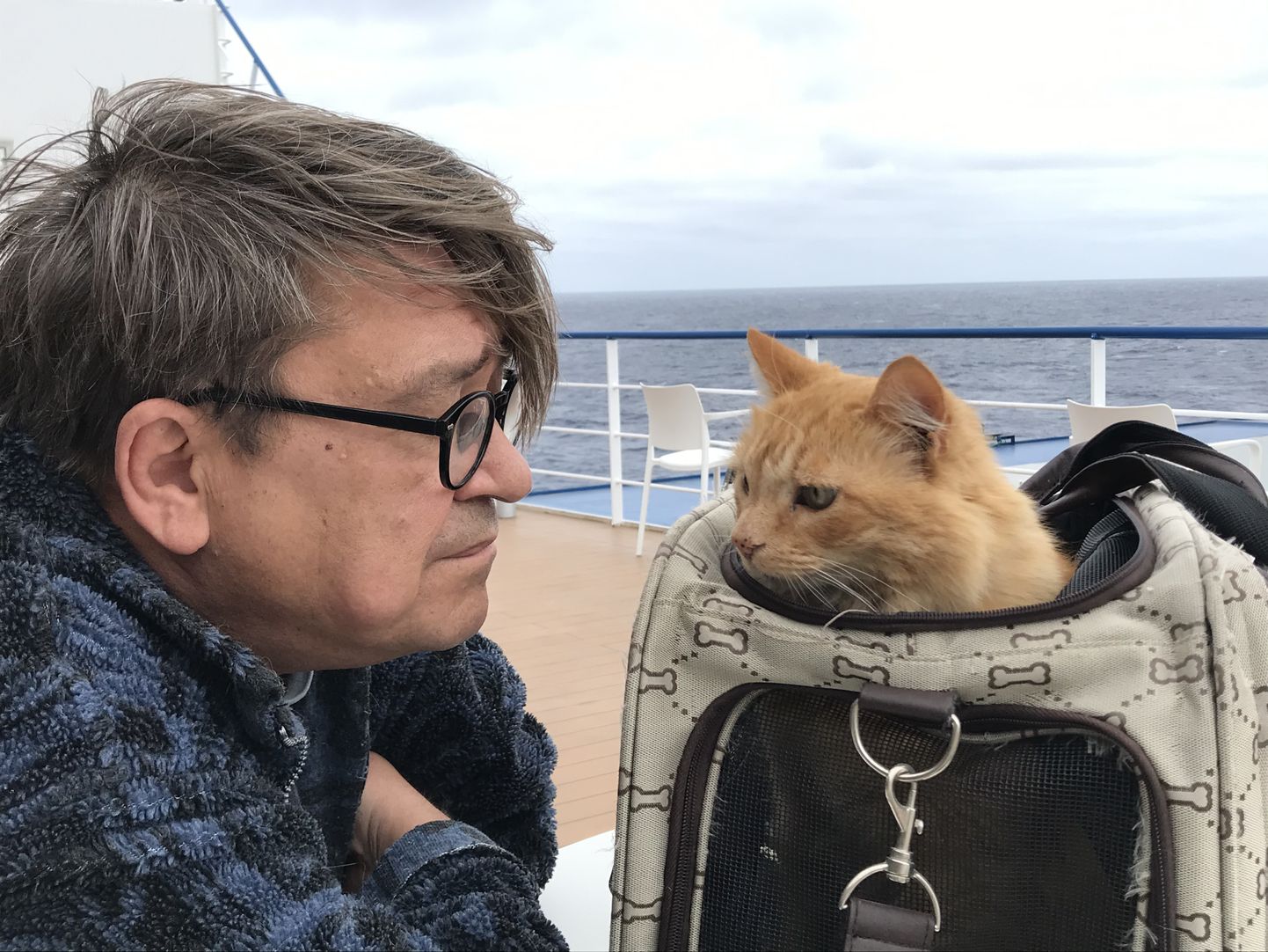 KOJU! Tenerife–Huelva laeval koos Kruubi-nimelise kassiga, kes on pärit Hiiumaalt ja on alates 2014. aastast koos peremees Olaviga reisinud autode ja laevadega kahe saare vahet kokku enam kui tiiru ümber maakera.